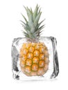 Pineapple in ice cube