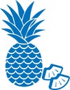 Pineapple icon, Fruit icon, Healthy fruit blue vectors icon.