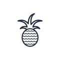 Pineapple icon,Fruit icon,Vector and Illustration Royalty Free Stock Photo