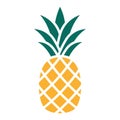 Pineapple icon. Pineapple tropical fruit. Vector illustration Royalty Free Stock Photo