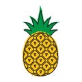 Pineapple icon. Tropical fruit Royalty Free Stock Photo