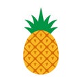 Pineapple icon. Tropical fruit Royalty Free Stock Photo