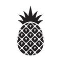 Pineapple icon. Tropical fruit Royalty Free Stock Photo