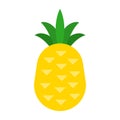 Pineapple icon. Tropical fruit Royalty Free Stock Photo