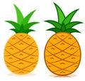 Pineapple icon tropical fruit vector Royalty Free Stock Photo