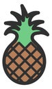 Pineapple icon. Tropical juicy fruit. Exotic brown plant