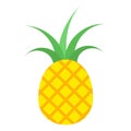 Pineapple icon vector. Fruits illustration sign. Vitamins symbol. Vegetarian logo. Food mark.