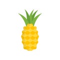 Pineapple icon vector sign and symbol isolated on white background, Pineapple logo concept Royalty Free Stock Photo