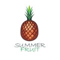 Pineapple icon on white background. Vector illustration