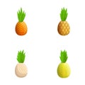 Pineapple icons set cartoon vector. Ripe exotic fruit