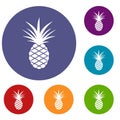 Pineapple icons set