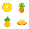 Pineapple icons set, flat style