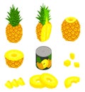 Pineapple icons set, isometric style