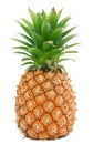 Pineapple isolated Royalty Free Stock Photo