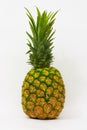 Pineapple Isolated