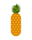 Pineapple isolated. ananas exotic tropical fruit. Vector illustration Royalty Free Stock Photo