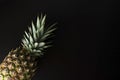 Pineapple isolated on black. Fresh exotic, tropical fruit with copy space. Dark photo. Summer fruit Royalty Free Stock Photo