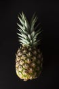 Pineapple isolated on black. Fresh exotic, tropical fruit with copy space. Dark photo. Summer fruit Royalty Free Stock Photo