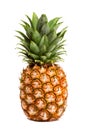 Pineapple isolated on white Royalty Free Stock Photo