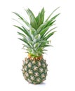 Pineapple isolated on white backgound Royalty Free Stock Photo