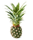 Pineapple isolated white backgound Royalty Free Stock Photo