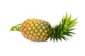 pineapple isolated on white backgound Royalty Free Stock Photo
