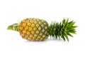 pineapple isolated on white backgound Royalty Free Stock Photo