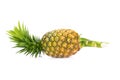 pineapple isolated on white backgound Royalty Free Stock Photo