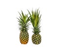 Pineapple isolated white background with clippingpath Royalty Free Stock Photo