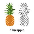 Pineapple isolated on white background. Color illustration and black and white outline. Vector image of exotic tropical fruit Royalty Free Stock Photo