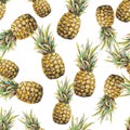 Pineapple isolated on a white background. Watercolor acrylic colourful illustration. Tropical fruit drawn. Seamless pattern