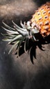 Pineapple and its shadow on the cement floor. Royalty Free Stock Photo