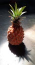 Pineapple and its shadow on the cement floor. Royalty Free Stock Photo