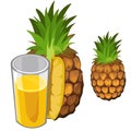 Pineapple juice and fruit. Vector drinks isolated Royalty Free Stock Photo