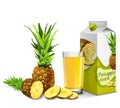 Pineapple juice set Royalty Free Stock Photo