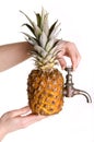 Pineapple juice source Royalty Free Stock Photo