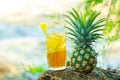 Pineapple juice to refresh,copy space Royalty Free Stock Photo