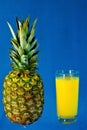 Pineapple and juice tropical perennial herb, a popular delicacy, used in cooking.