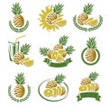 Pineapple labels and elements set. Vector Royalty Free Stock Photo