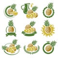 Pineapple labels and elements set. Vector Royalty Free Stock Photo