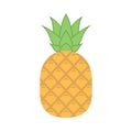 Pineapple with leaves vector icon. Pineapple icon clipart.