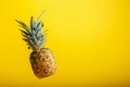 Pineapple levitation on color yellow background with copy space. Whole tropical fruit pineapple minimalism concept Royalty Free Stock Photo