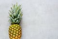 Tropical fruit pineapple