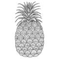 Pineapple line art design Royalty Free Stock Photo