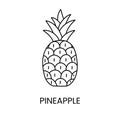 Pineapple line icon in vector, tropical fruit illustration