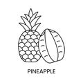 Pineapple line icon in vector, tropical fruit illustration