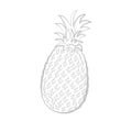 Pineapple, line sketch ananas, whole tropical fruit with leaf