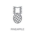 Pineapple linear icon. Modern outline Pineapple logo concept on