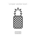 Pineapple. Linear icon.
