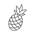 Pineapple linear icon